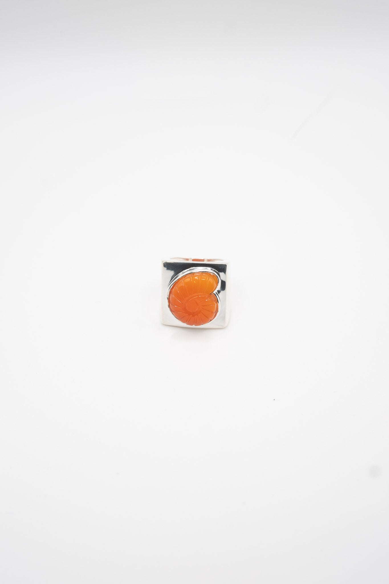 Carved Nautilus Shell Ring in Sterling Silver & Red Onyx