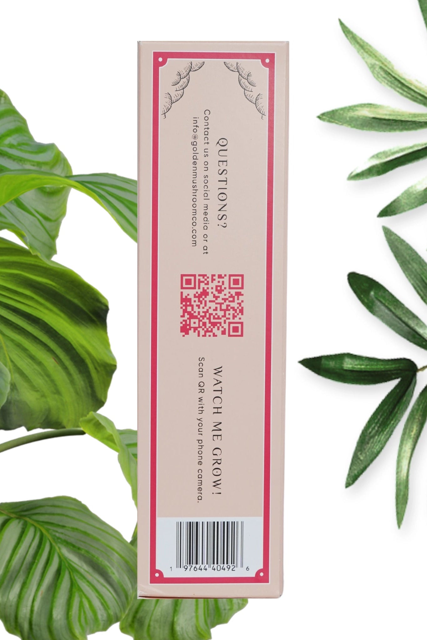 Pink Oyster Mushroom Grown Kit