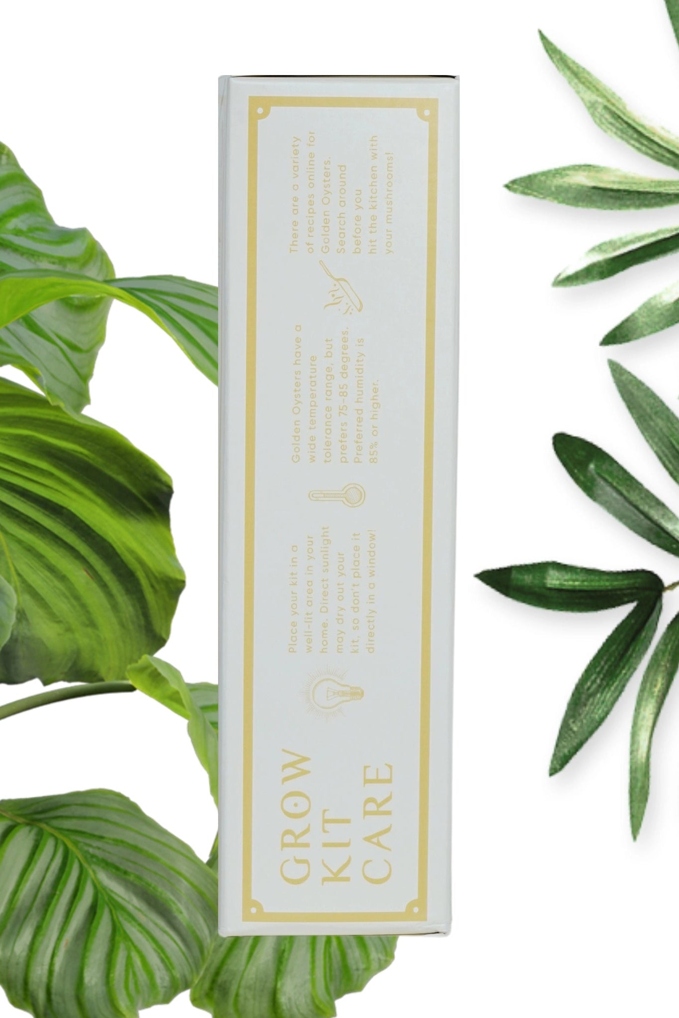 Golden Oyster Mushroom Grow Kit