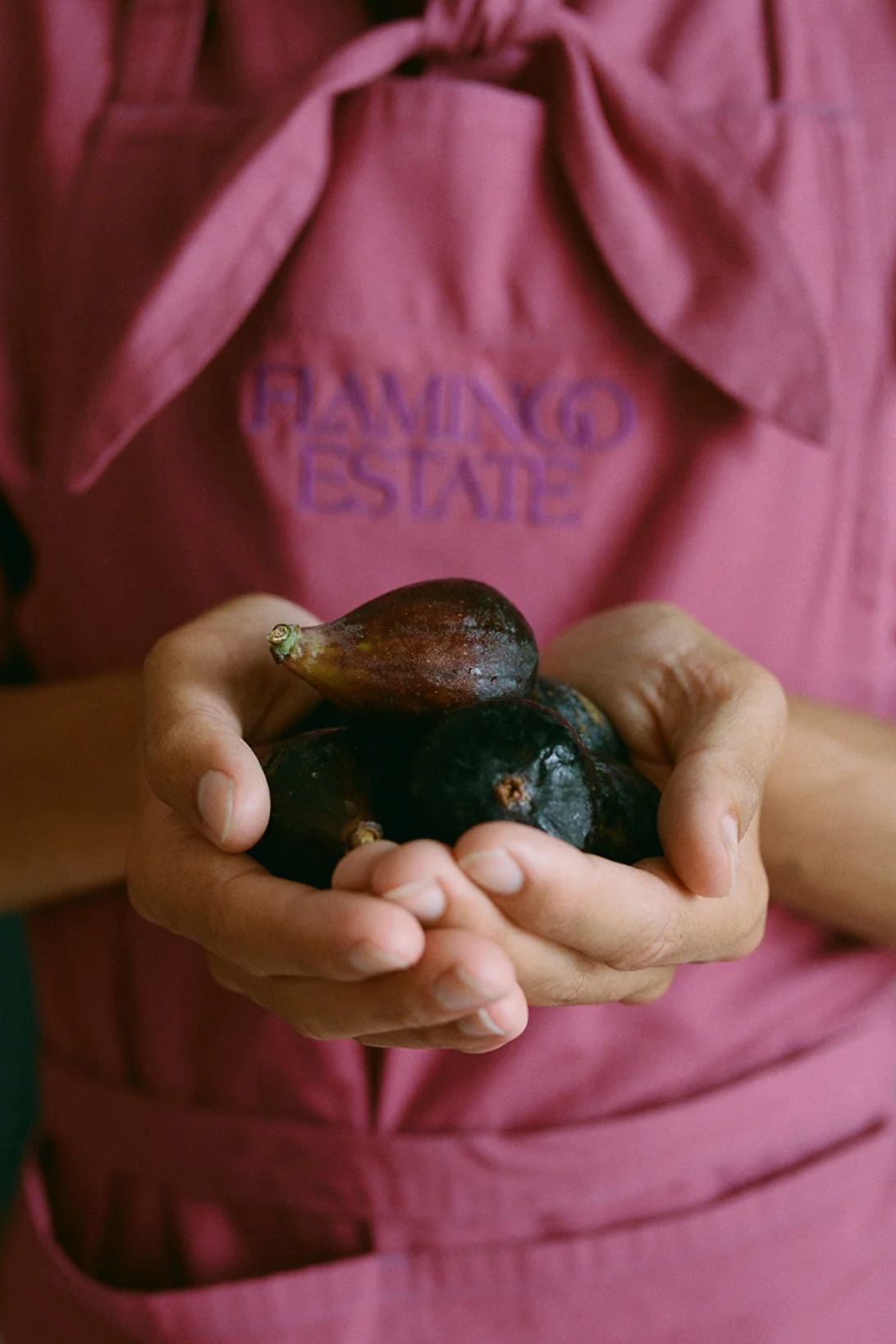 Fig Balsamic