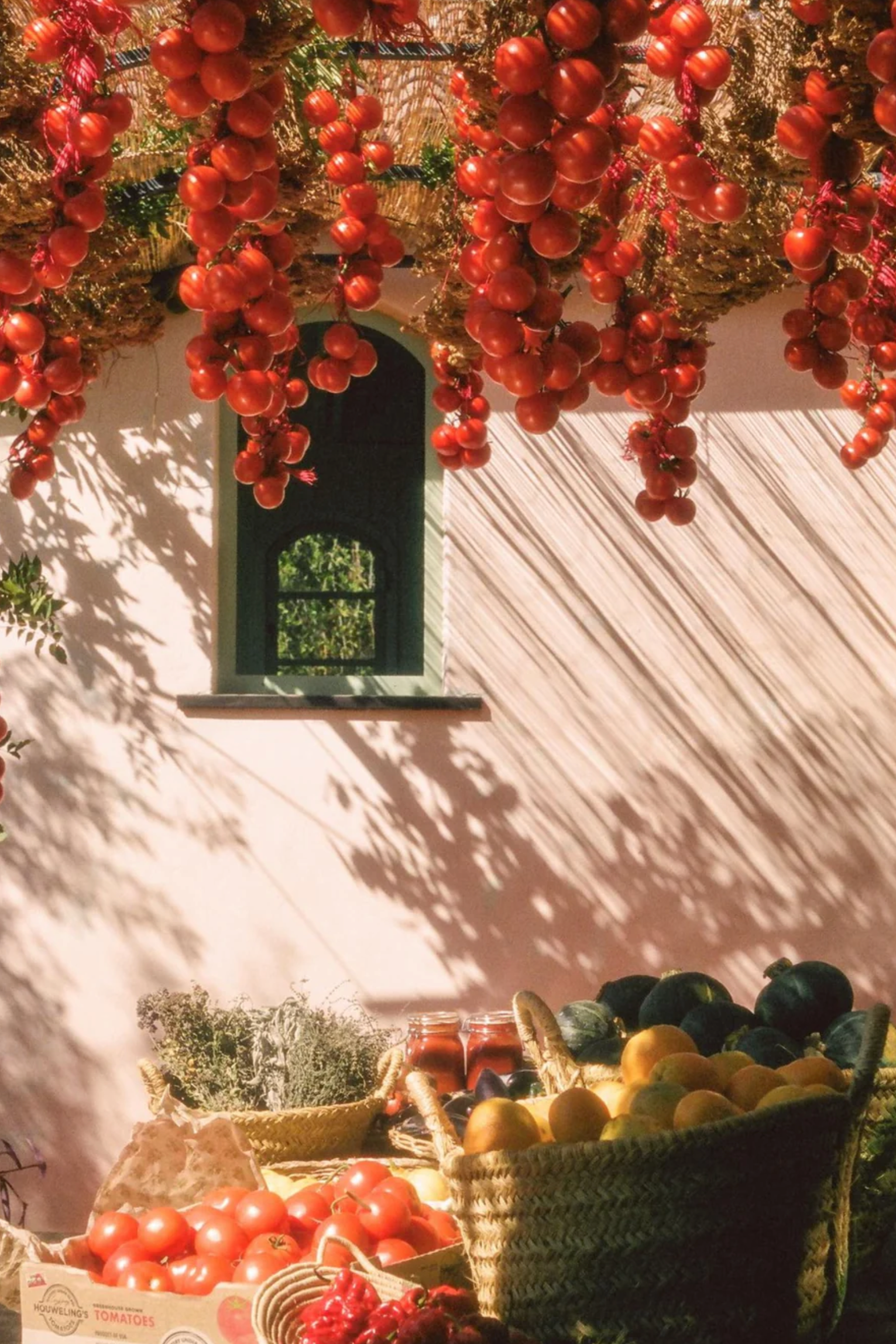 Roma Heirloom Tomato Dish Soap