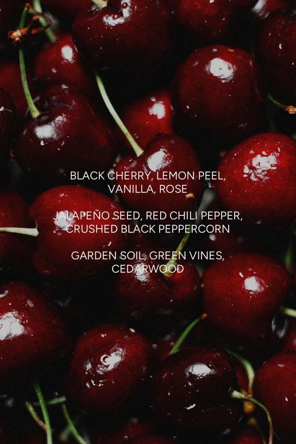 Black Cherry Chili Pepper Candle