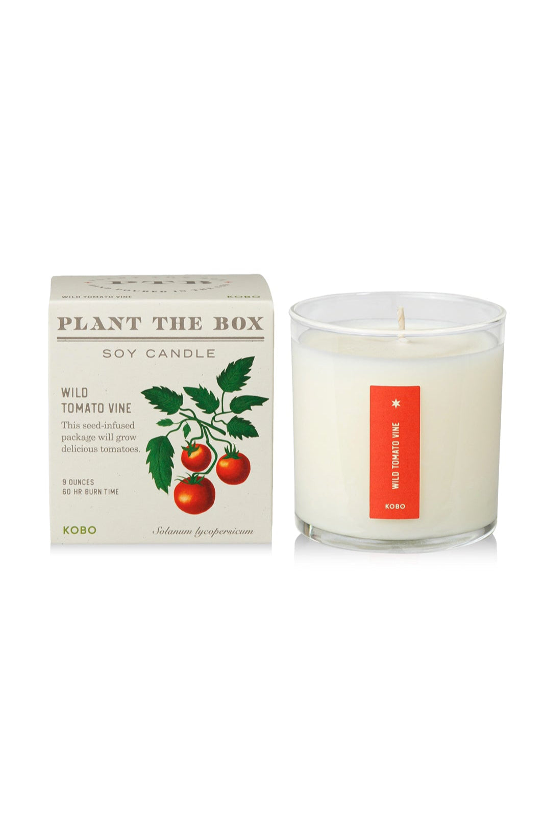 Wild Tomato Vine Plant the Box Candle
