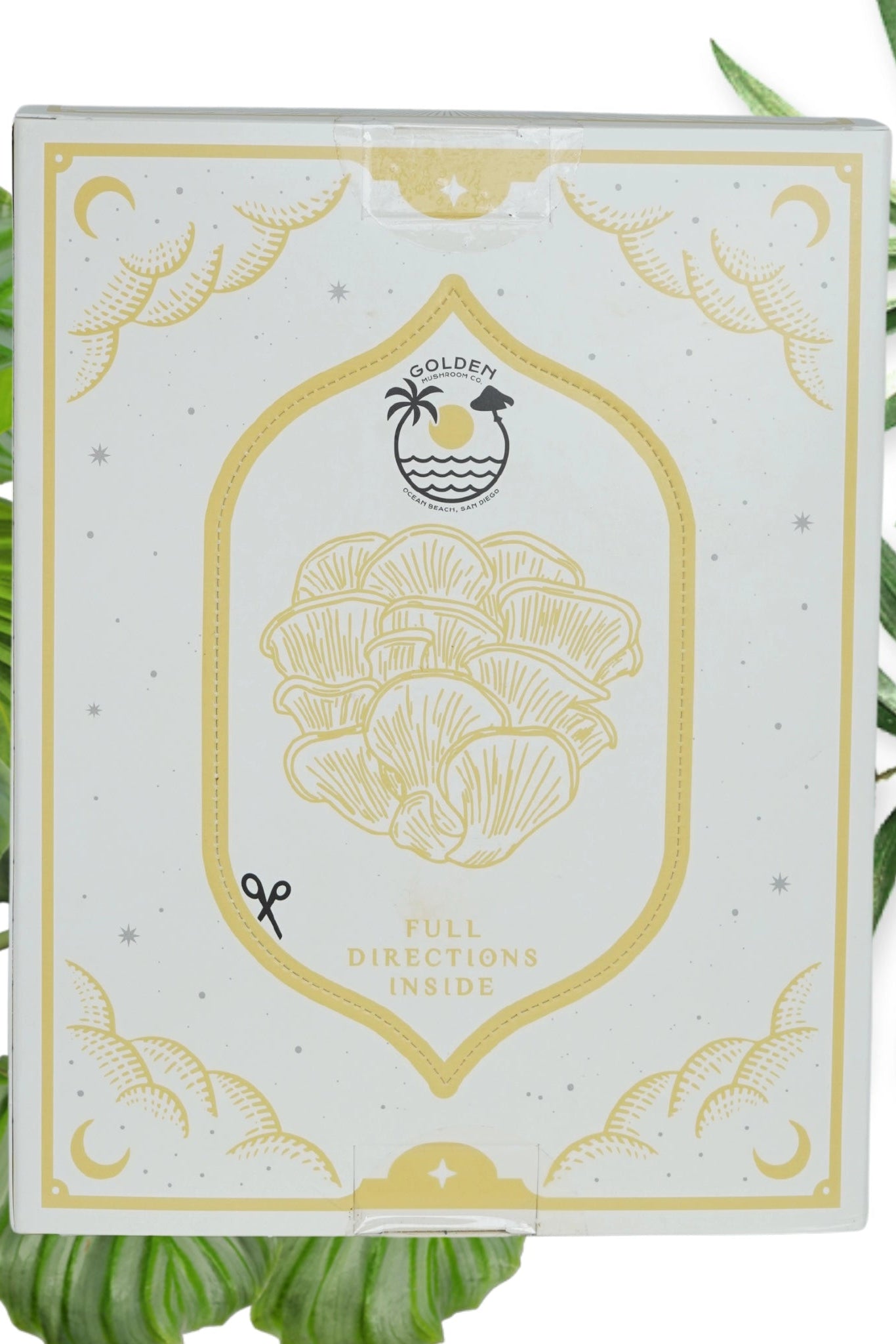 Golden Oyster Mushroom Grow Kit