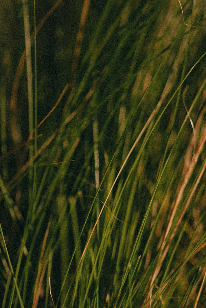 Cowboy