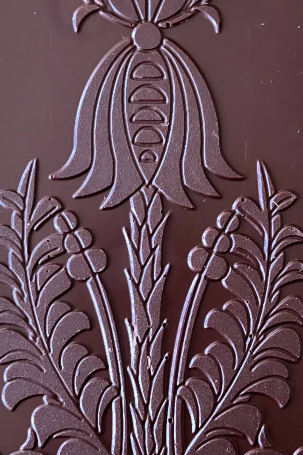 Wildflower Dream Bar