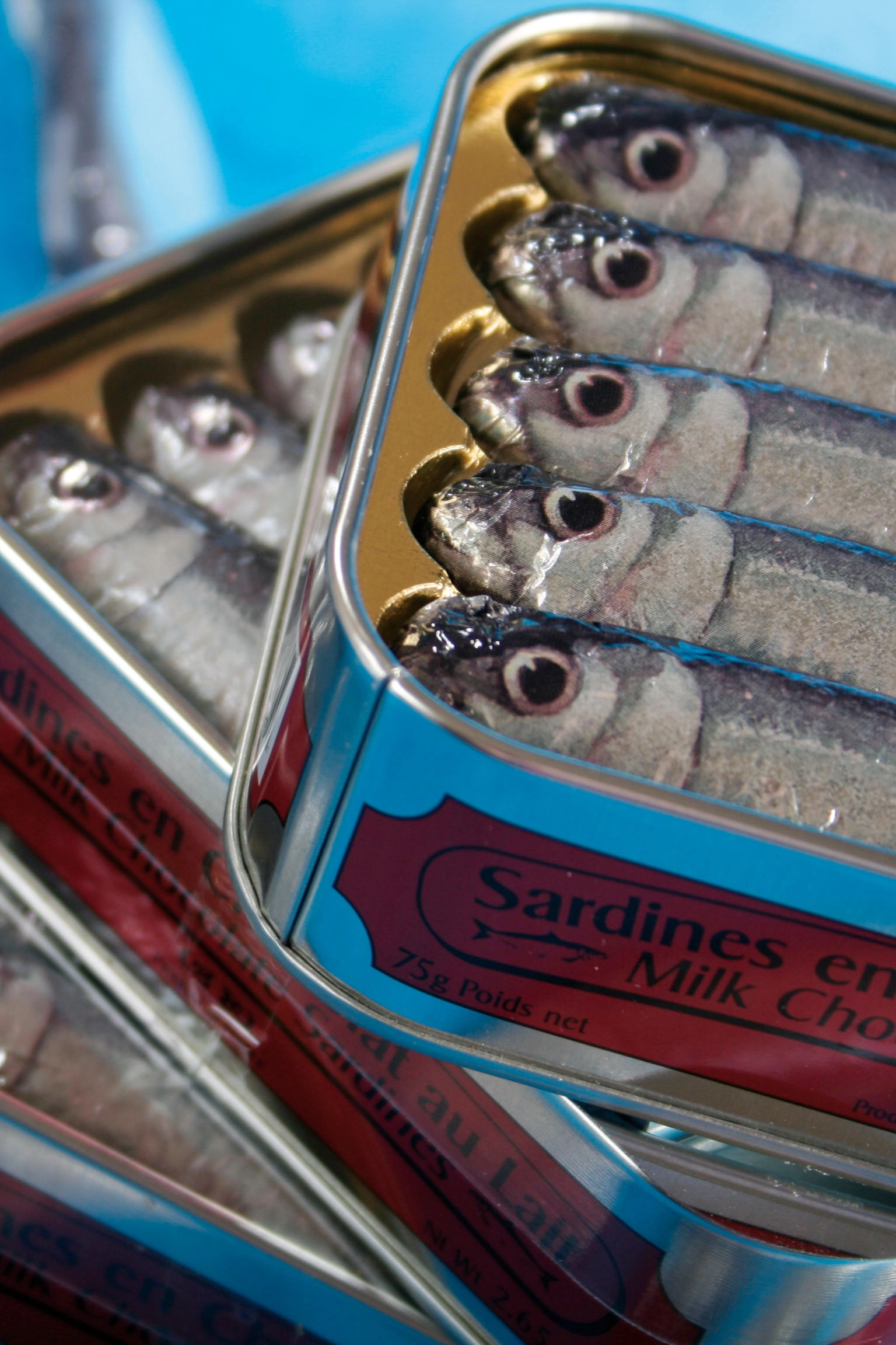 Chocolate Sardines