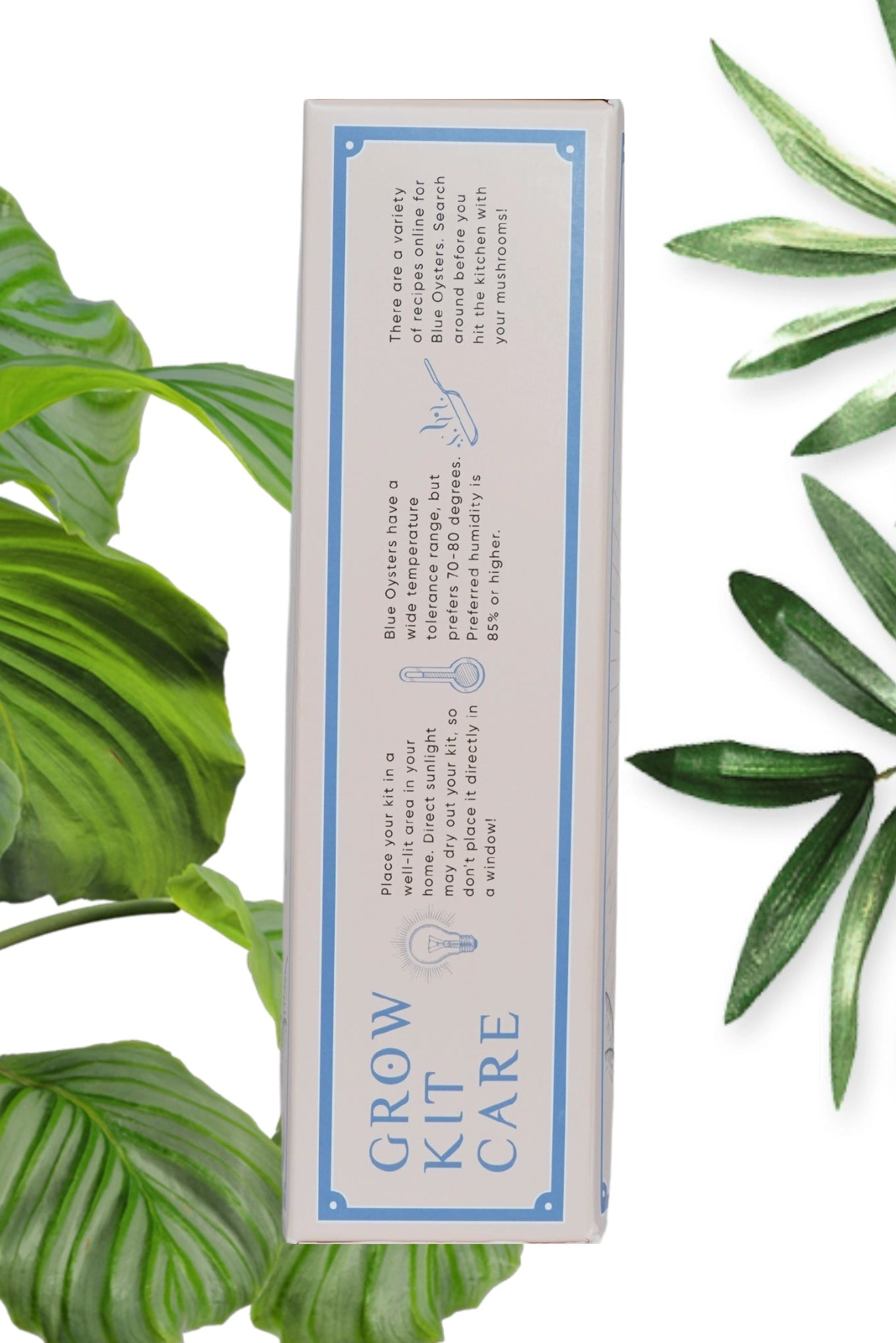 Blue Oyster Mushroom Grown Kit