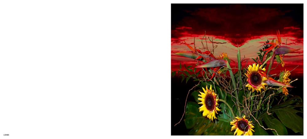 Lucas Samaras: Flowers