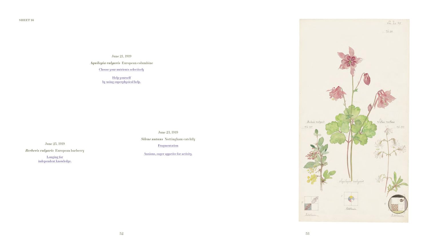 Hilma af Klint: What Stands Behind the Flowers