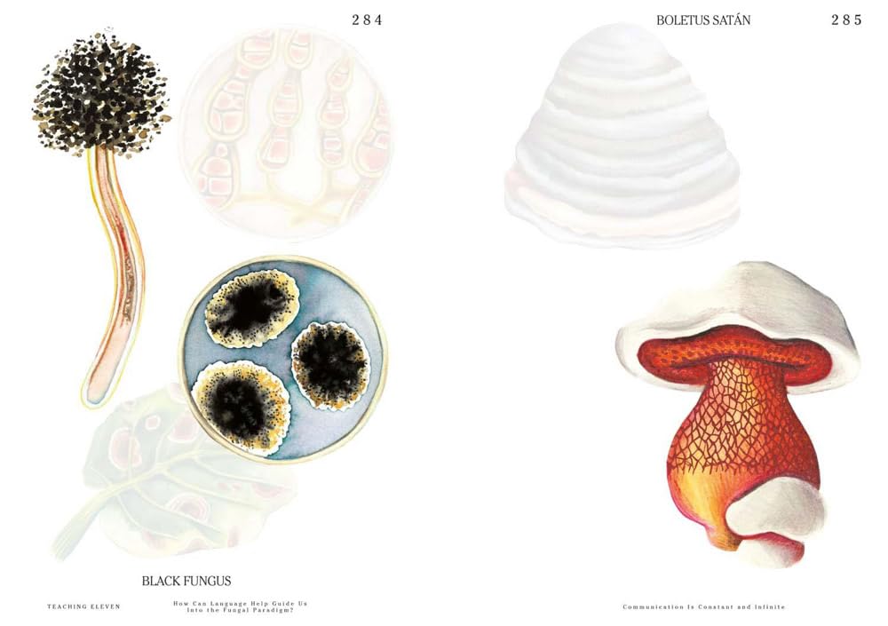 Let's Become Fungal!