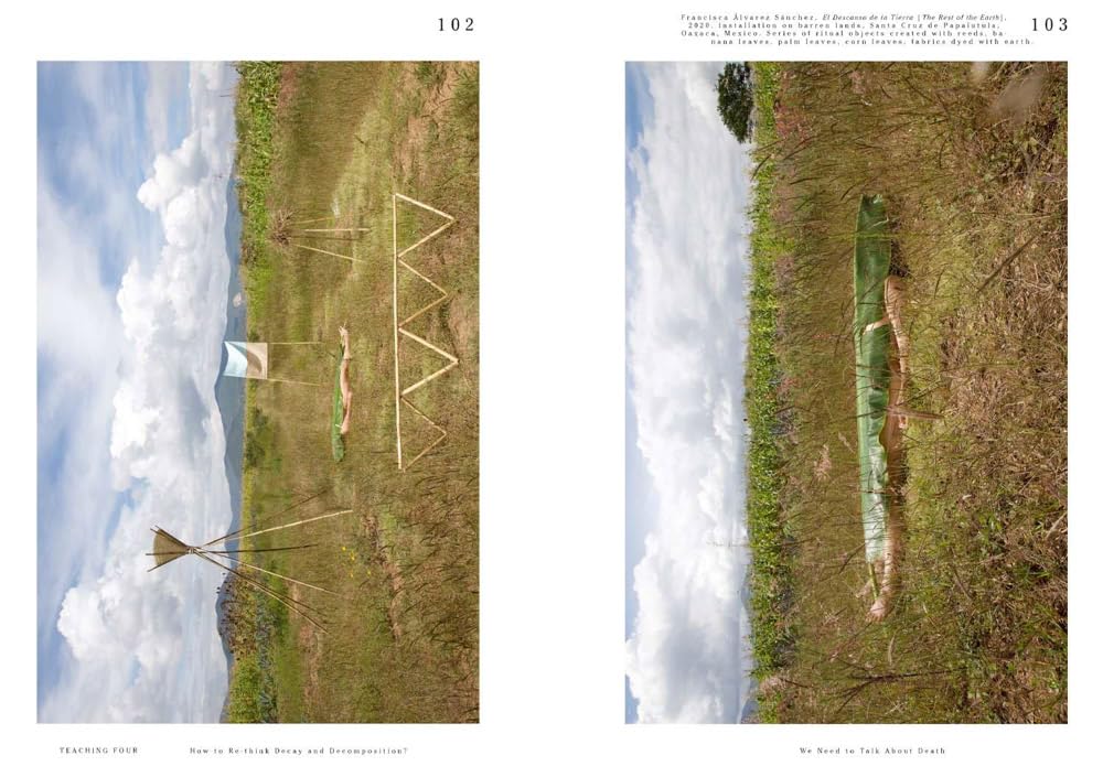 Let's Become Fungal!