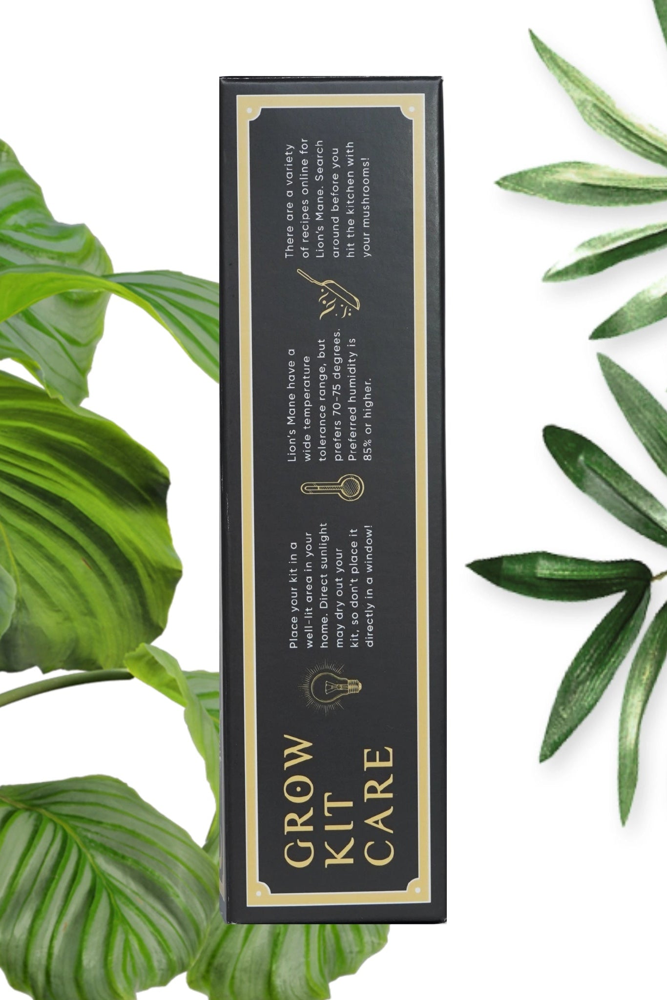 Lion's Mane Mushroom Grow Kit