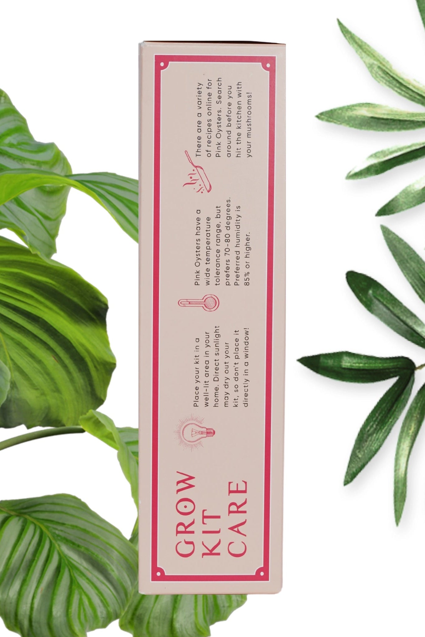 Pink Oyster Mushroom Grown Kit