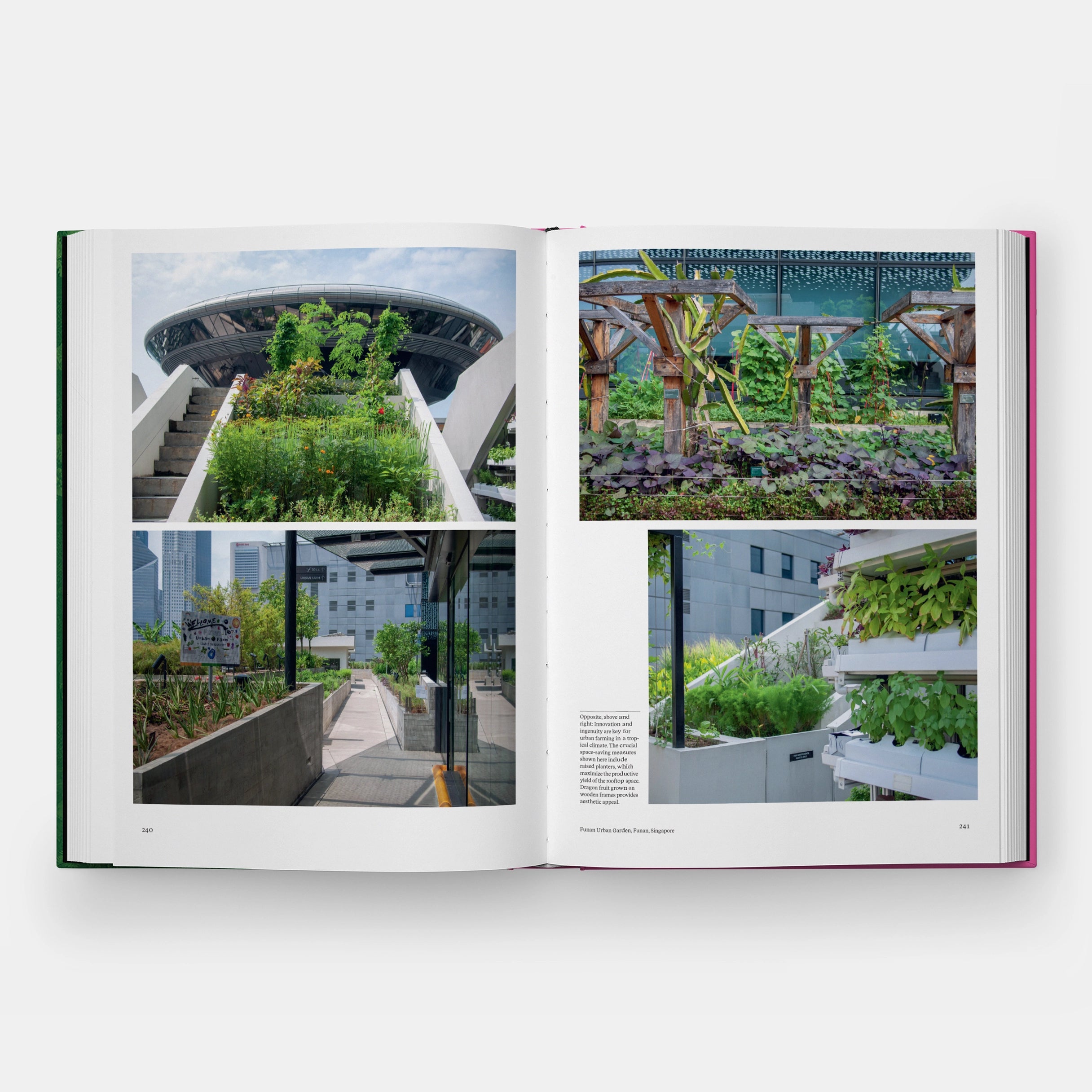 The Kitchen Garden