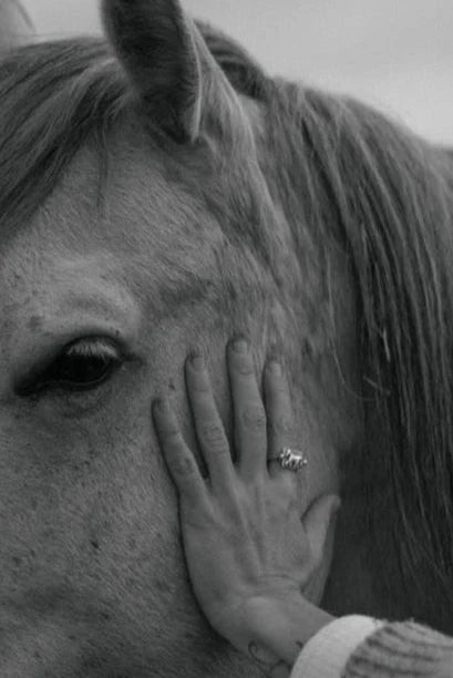 The Chevalier Ring in Sterling Silver