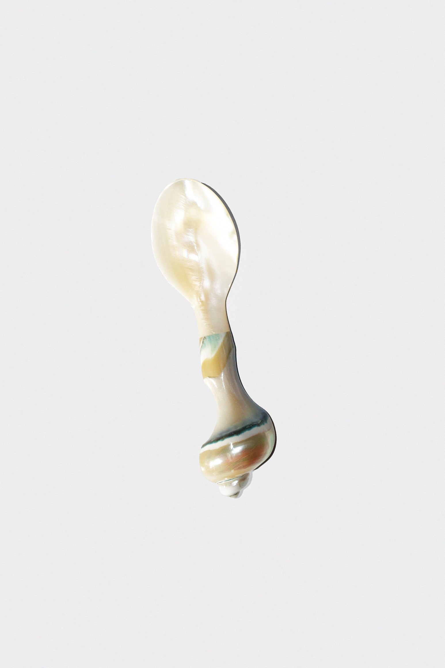Mother of Pearl Spoon with Shell Handle
