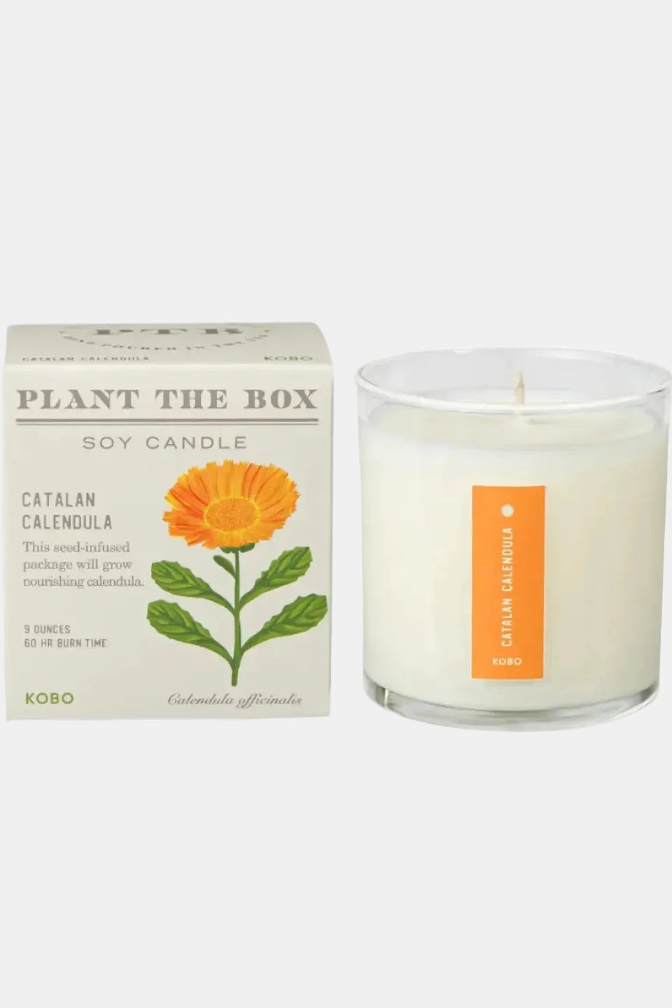 Catalan Calendula Plant the Box Candle