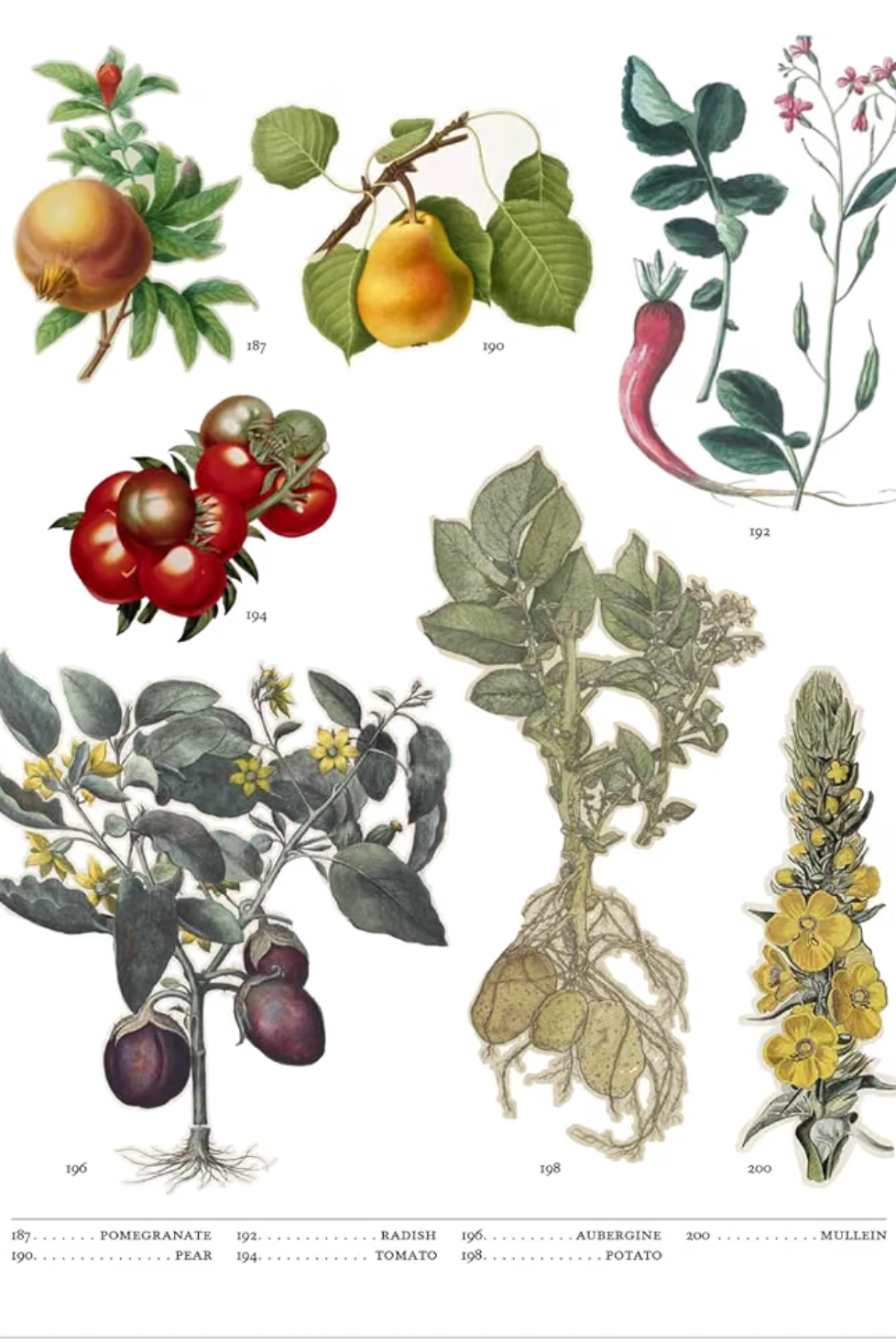 Flora: The Secret Language of Plants in Art