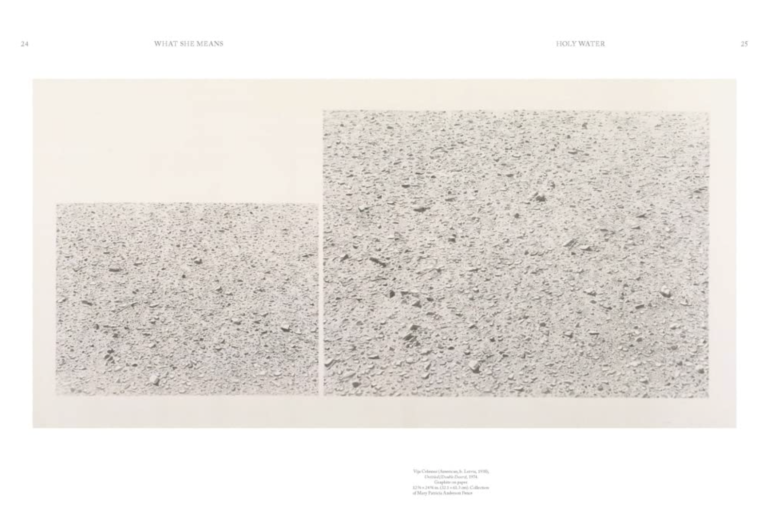 Joan Didion : What She Means