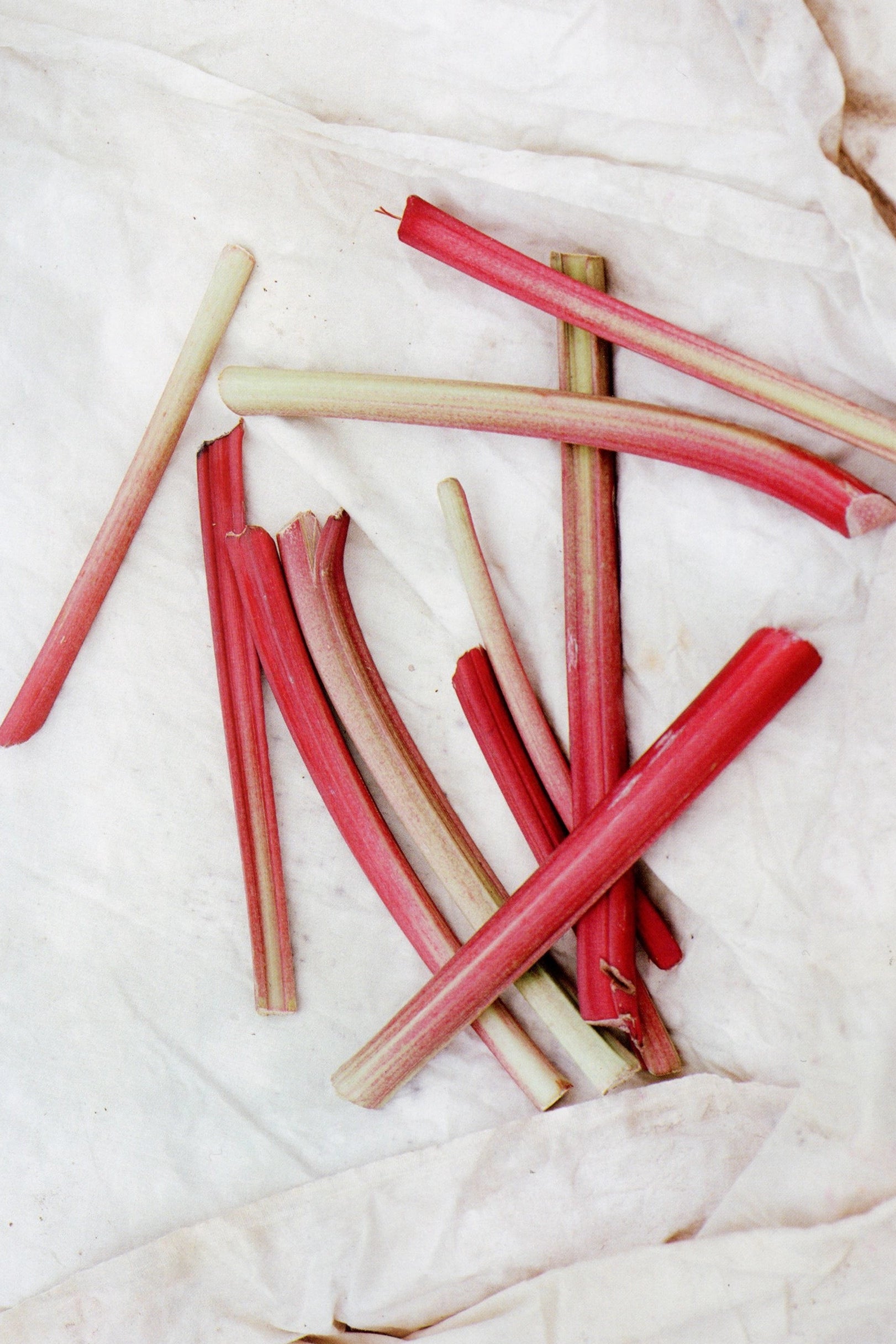 Blueberry Rhubarb Fruit Spread