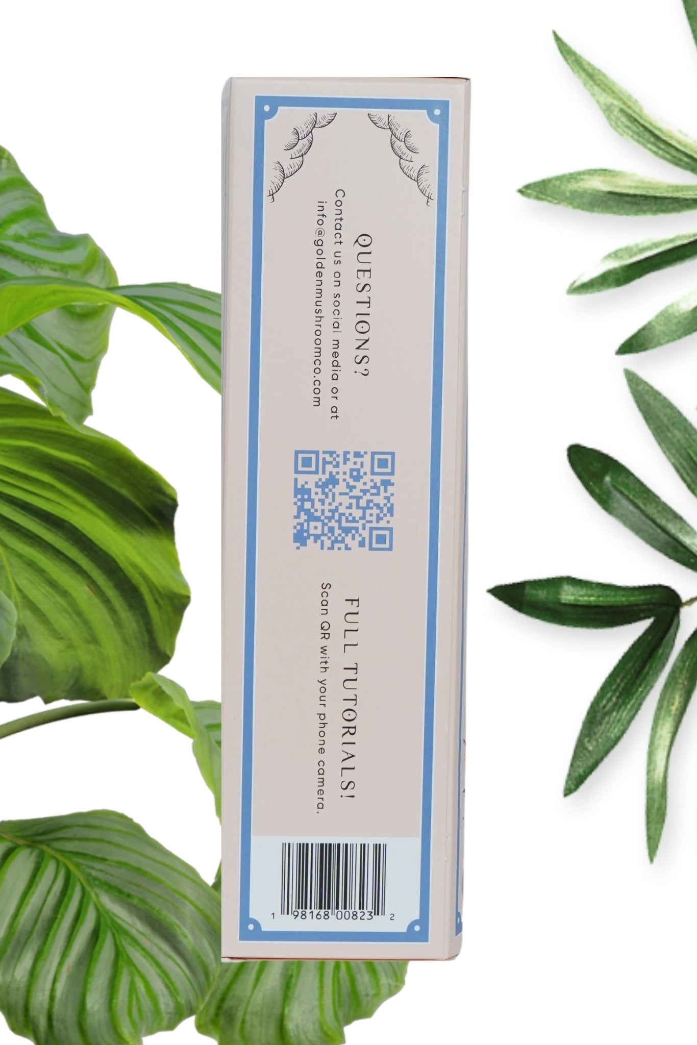 Blue Oyster Mushroom Grown Kit