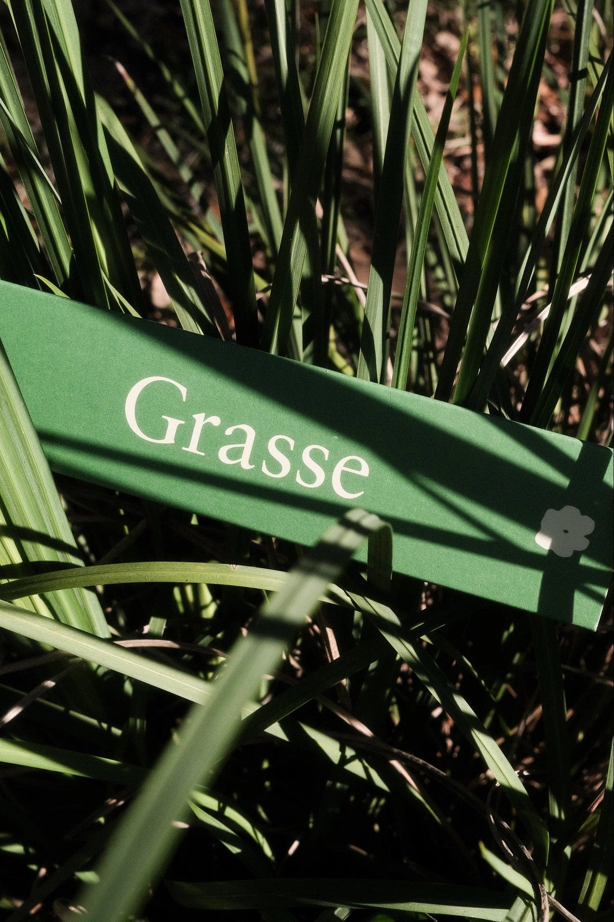 Grasse Incense