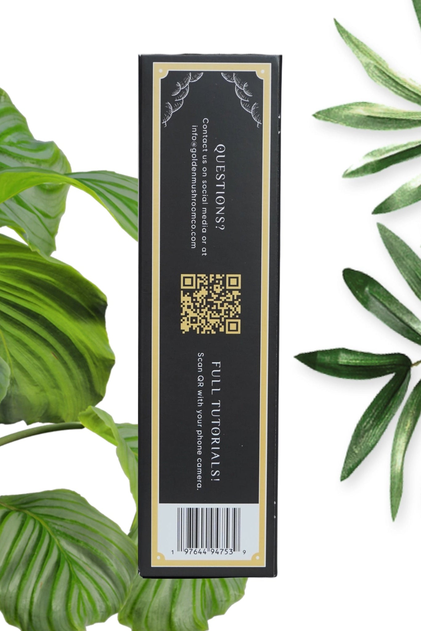 Lion's Mane Mushroom Grow Kit