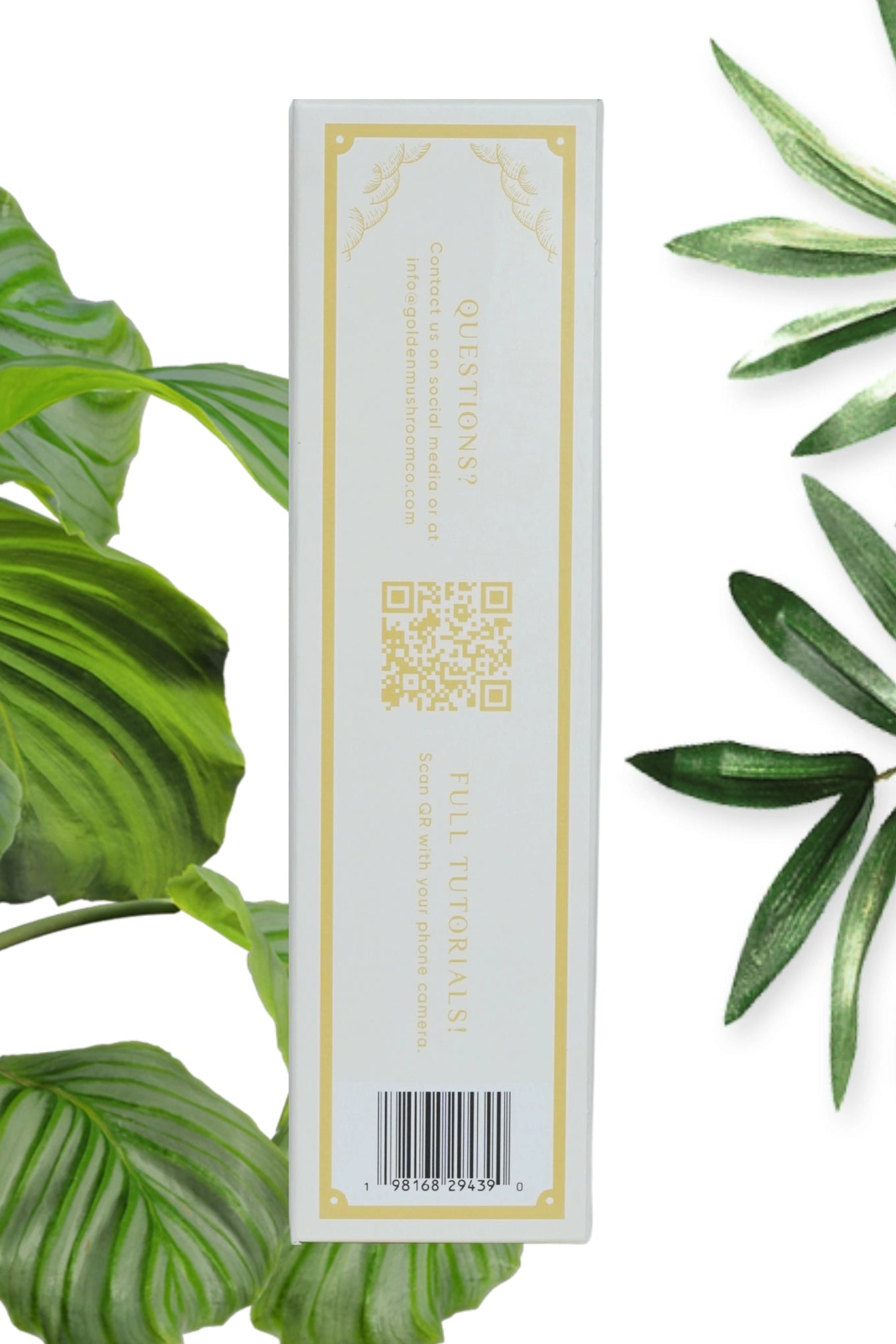 Golden Oyster Mushroom Grow Kit