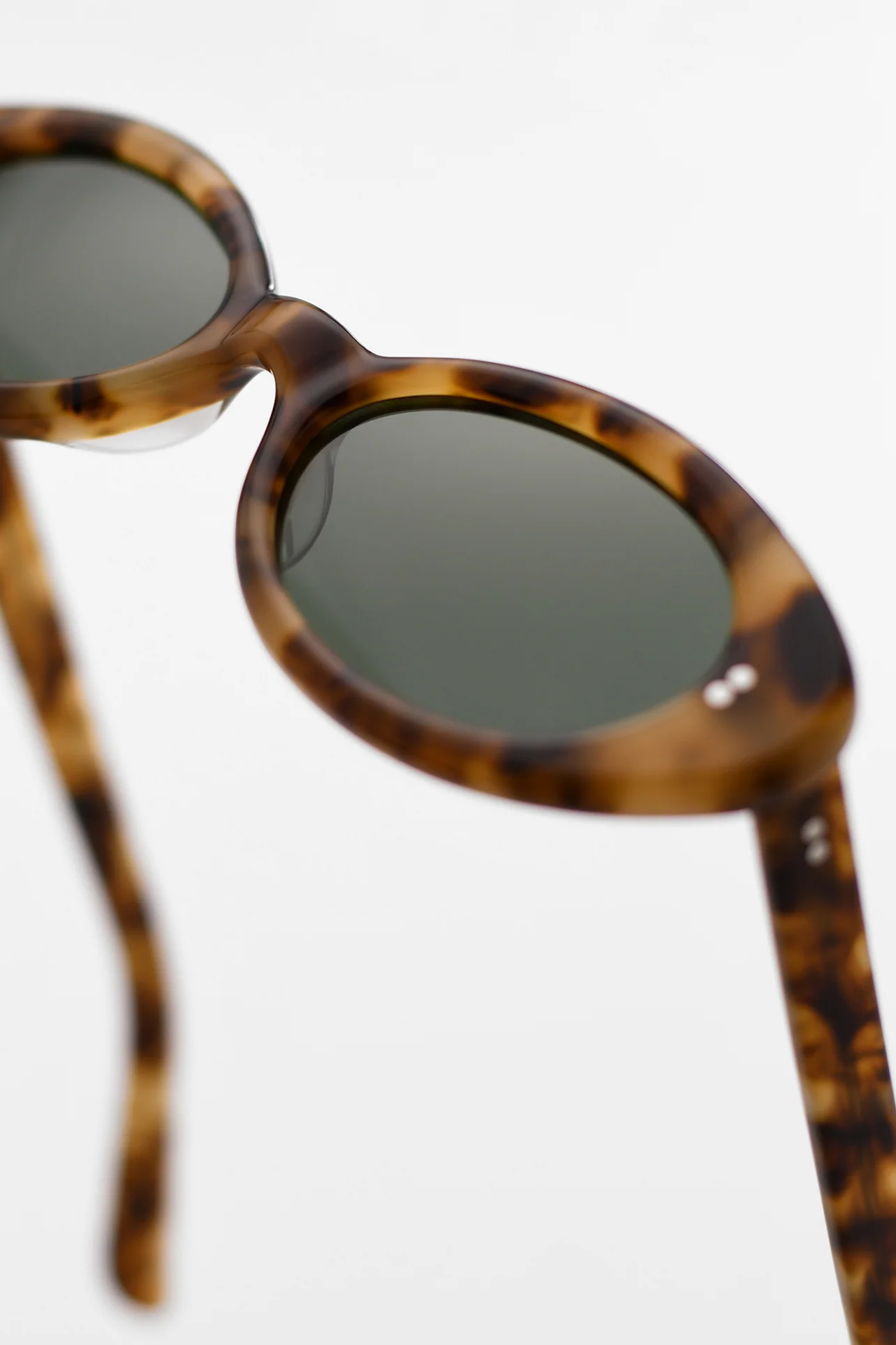 Daisy in Tortoise & Green