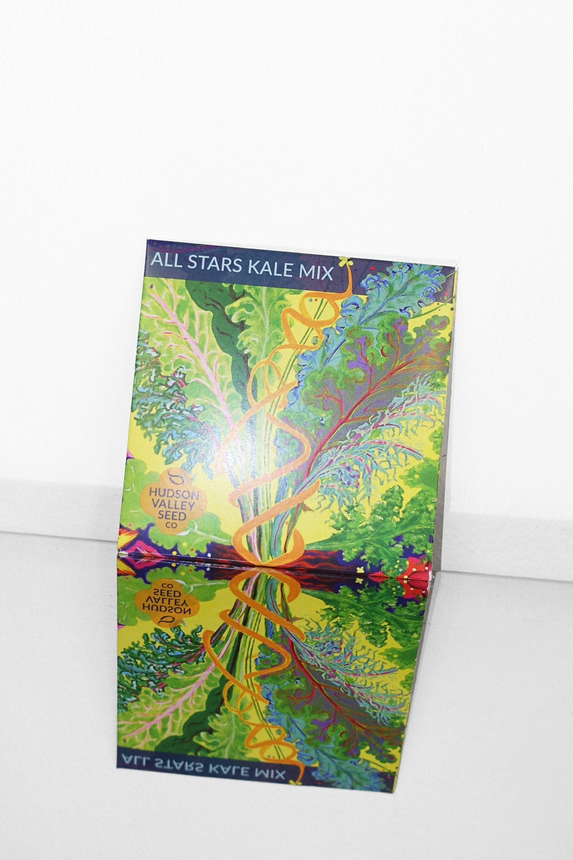 All Stars Kale Seeds - Organic